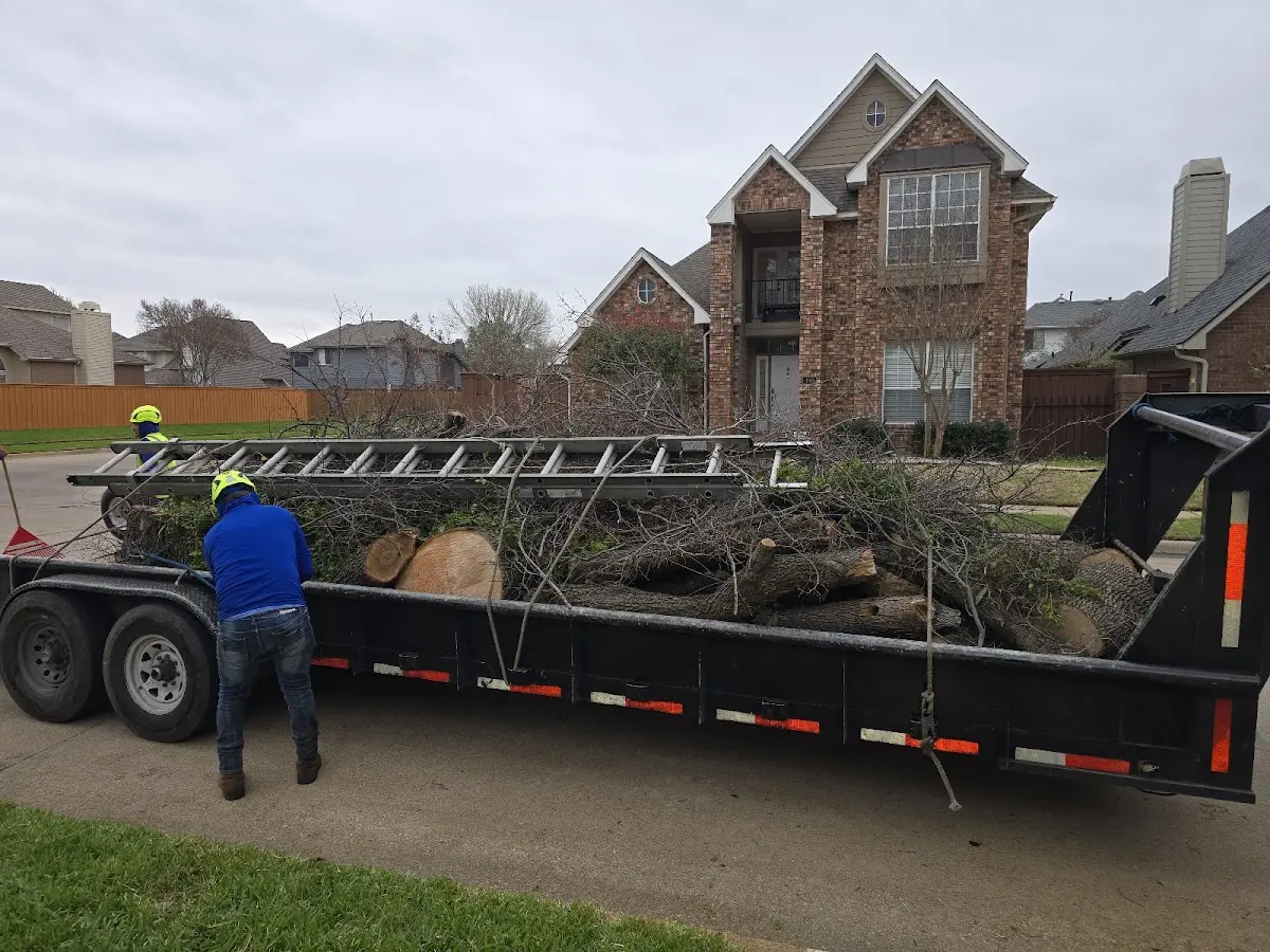 Expert Lot Clearing with proper safety equipment in Strawn